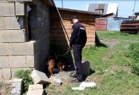 Перед проникновением подростки разобрали часть стены