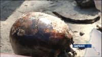 Череп из захоронения