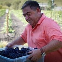 Владимир Вагнер