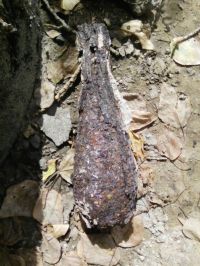 Снаряд сильно поврежден от долгого нахождения под землей