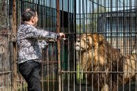 Лев сразу обратил внимание на виртуозного скрипача