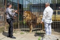 Зверь с удовольствием послушал классические произведения