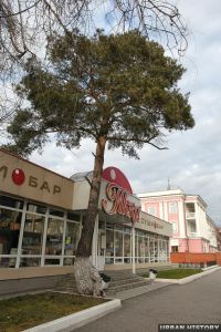 Это дерево официально включается властями в состав Дунькиной рощи