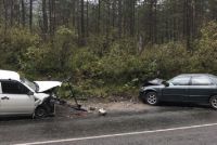 Встреча двух Toyota в лесном массиве