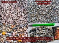 Сравнение покрытия по ГОСТу и того, что использовали в Барнауле