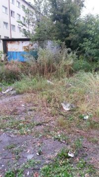 На участке осталось несколько гаражей и заросли конопли, которой интересуются наркоманы
