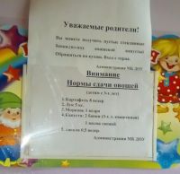 Пост с примером из алтайского детсада стал «хитом» на развлекательном портале Pikabu