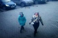Девочка с сопровождающей