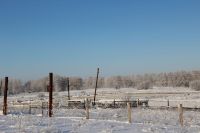 Хозяйство "Радужное" в Советском районе