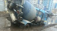 Суровые барнаульские болота
