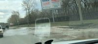 Автомобилисты ловят волну