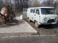 Не исключено, что мамонтенка восстановят
