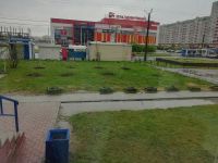 Как говорят очевидцы, клумбы на Балтийской разорены вандалами