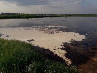 Фильтрационное поле