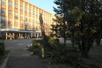 У входа в университет