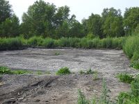 Тот самый нерекультивированный участок