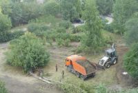 Зеленая «реновация» в действии