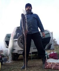 Адрей Киселев