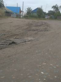 Бездорожье по-новоалтайски