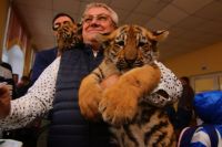 Депутат АКЗС Сергей Писарев решил внести элемент перформанса