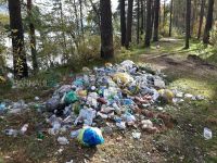 Мусорные залежи возмутили пользователей соцсетей