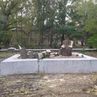 В соцсетях распространяются фотографии с результатами «озеленения»