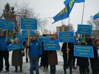 На партийную символику для протестующих либерал-демократы не поскупились