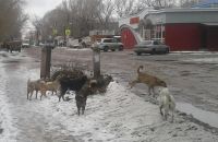 Возле школы № 18