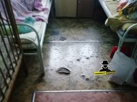 Видавшие лучшие времена полы