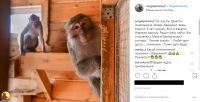 Сергей Писарев старается информировать подписчиков о поведении животных