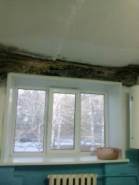 Судя по всему, это плесень