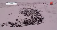 Из-под снега на берегу реки проступают навозные кучи