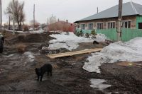 Жители города строят мостики, чтобы выйти из дома