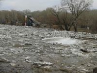 Алей бушует