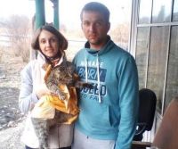 Спасители кота надеялись на его выздоровление