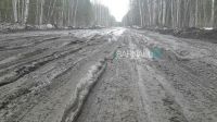 Эх, дорога...