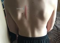 Следы от троллейбуса