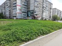 Урожай мог быть внушительным