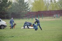 Зрелищное шоу на десерт