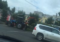 Барнаул подстригают