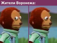 Предполагаемая реакция жителей Воронежа на предложение депутата. Автор вспомнил старый мем «бомбить Воронеж», аналогичный фразе «назло маме отморожу уши»