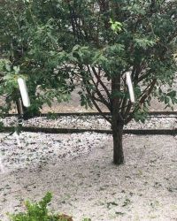 Землю покрыло плотным слоем града