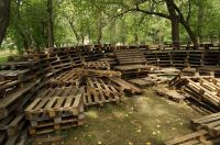 Вот что оставили после себя барнаульские вандалы