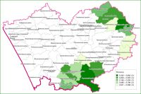Естественная численность медведей в Алтайском крае
