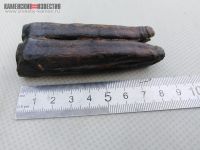 Фото уже отправили ученым