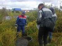 В поисках воды