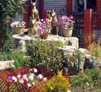 Общий вид благоустройства