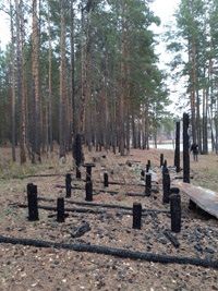 Обнаруженное пепелище