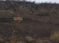 Останки разбросаны по всему берегу