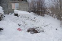 Под снегом так никого и не нашли